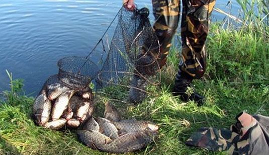 штраф за рыбалку в нерест на удочку штраф за рыбалку в нерест на удочку